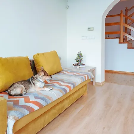 Zwierzogrod Alloggio in famiglia