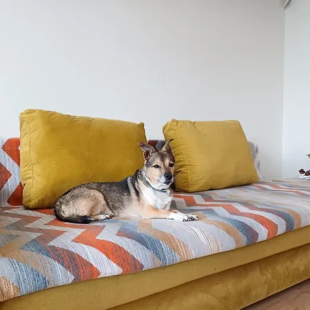 Zwierzogrod Séjour chez l'habitant Rabka-Zdrój