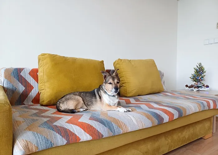 Zwierzogród Habitación en casa particular Rabka